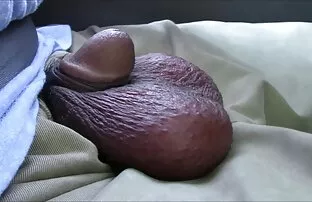 XXX Una persona può attrici trans italiane sperimentare ruvida tirare una ragazza dai capelli castani sul divano